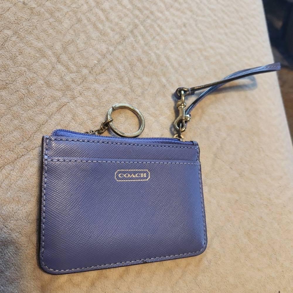 Coach skinny mini id